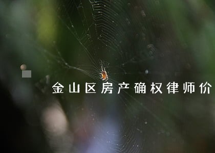金山区房产确权律师价格 金山区房产确权律师价格