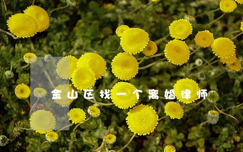 金山区找一个离婚律师 金山区找一个离婚律师