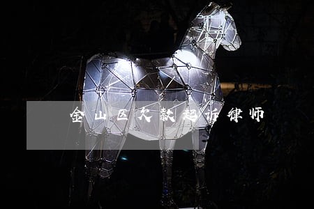金山区欠款起诉律师 金山区欠款起诉律师