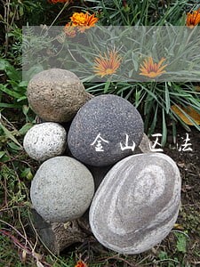 金山区法律咨询大概费用 金山区法律咨询大概费用