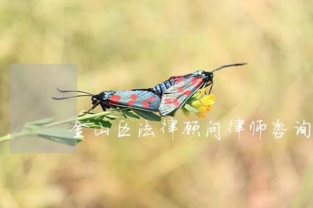 金山区法律顾问律师咨询电话 金山区法律顾问律师咨询电话