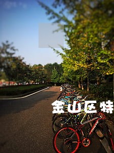 金山区特大交通事故应该怎么诉讼