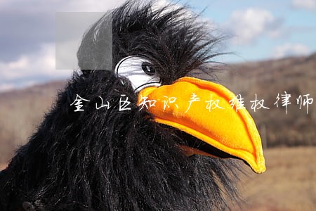 金山区知识产权维权律师在线咨询 金山区知识产权维权律师在线咨询