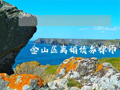 金山区离婚债务律师 金山区离婚债务律师