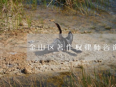 金山区著作权律师咨询电话 金山区著作权律师咨询电话