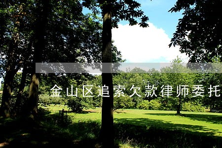 金山区追索欠款律师委托流程 金山区追索欠款律师委托流程