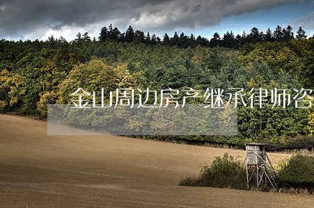 金山周边房产继承律师咨询 金山周边房产继承律师咨询