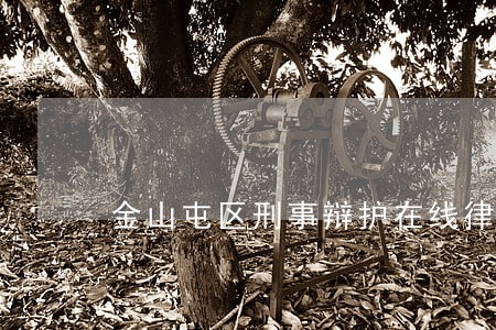金山屯区刑事辩护在线律师 金山屯区刑事辩护在线律师