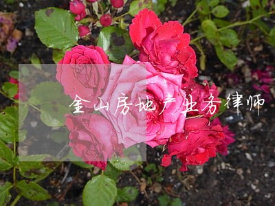 金山房地产业务律师 金山房地产业务律师