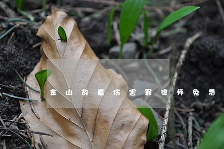 金山故意伤害罪律师免费法律咨询 金山故意伤害罪律师免费法律咨询
