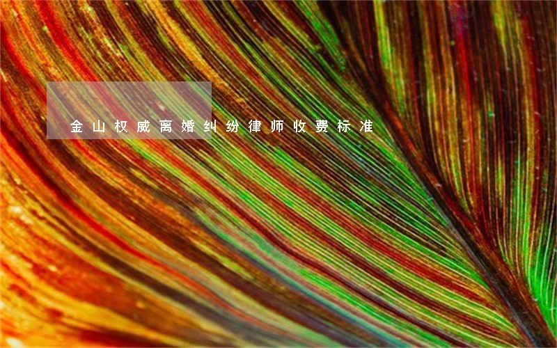 金山权威离婚纠纷律师收费标准 金山权威离婚纠纷律师收费标准
