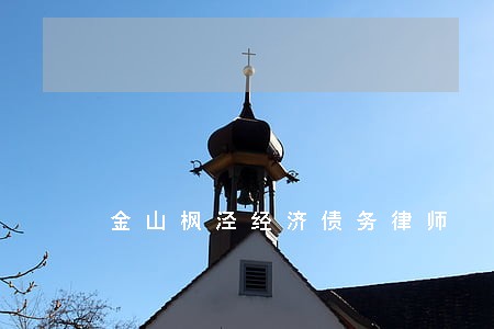 金山枫泾经济债务律师 金山枫泾经济债务律师