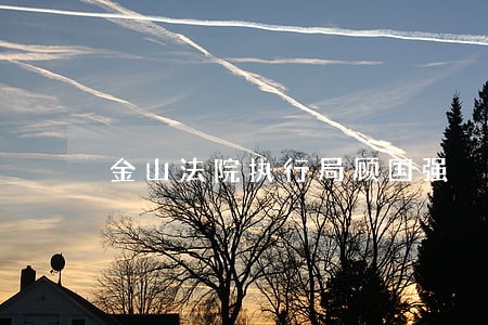 金山法院执行局顾国强 金山法院执行局顾国强