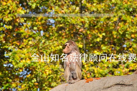 金山知名法律顾问在线费用 金山知名法律顾问在线费用