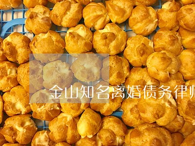 金山知名离婚债务律师
