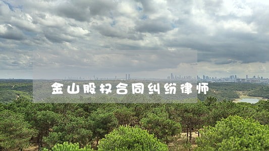 金山股权合同纠纷律师 金山股权合同纠纷律师