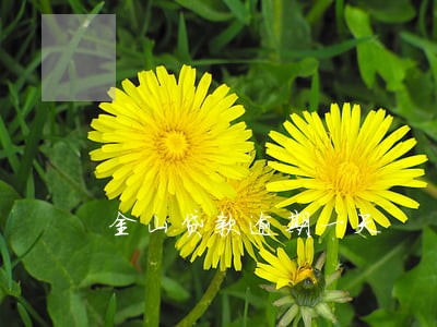 金山贷款逾期一天 金山贷款逾期一天