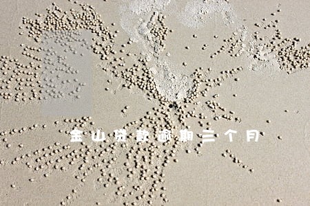金山贷款逾期三个月 金山贷款逾期三个月