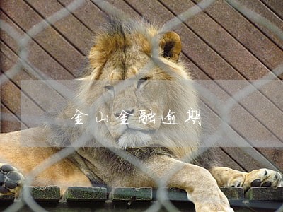 金山金融逾期 金山金融逾期