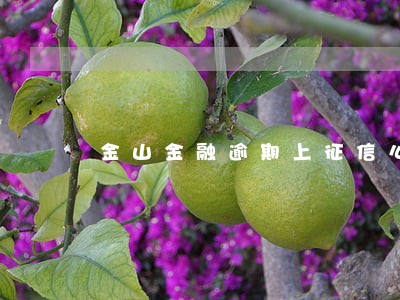 金山金融逾期上征信么 金山金融逾期上征信么