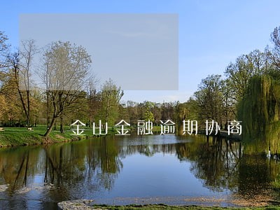 金山金融逾期协商 金山金融逾期协商