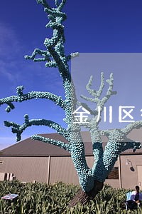 金川区律师收费标准 金川区律师收费标准