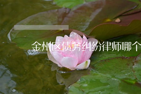 金州区债务纠纷律师哪个好