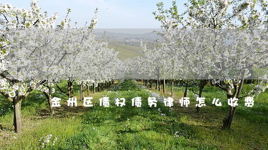 金州区债权债务律师怎么收费 金州区债权债务律师怎么收费