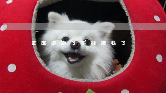 金库逾期了不能借钱了 金库逾期了不能借钱了