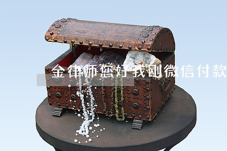 金律师您好我刚微信付款别人
