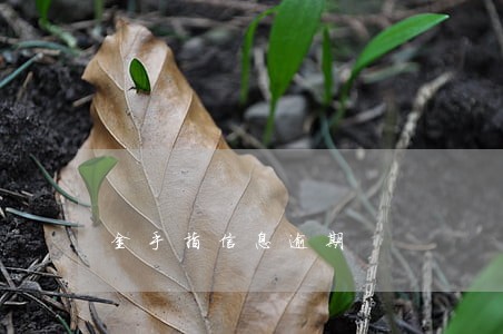 金手指信息逾期 金手指信息逾期