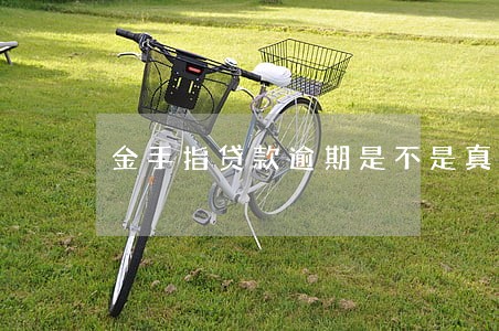 金手指贷款逾期是不是真的 金手指贷款逾期是不是真的