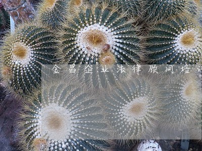 金昌企业法律顾问培训 金昌企业法律顾问培训