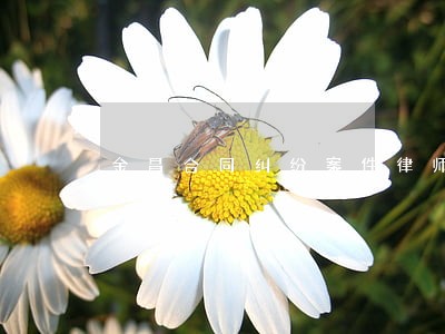 金昌合同纠纷案件律师 金昌合同纠纷案件律师