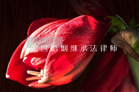 金昌婚姻继承法律师