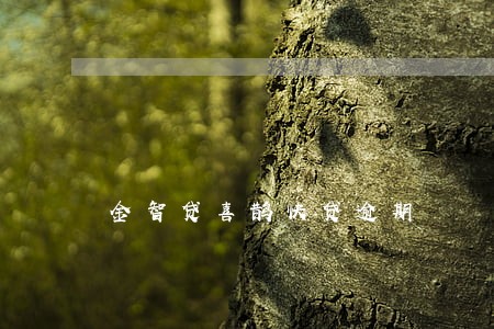金智贷喜鹊快贷逾期