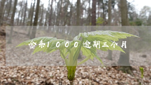 金条1000逾期三个月 金条1000逾期三个月