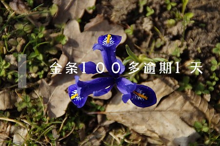 金条100多逾期1天 金条100多逾期1天