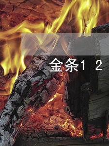 金条12000逾期4天 金条12000逾期4天