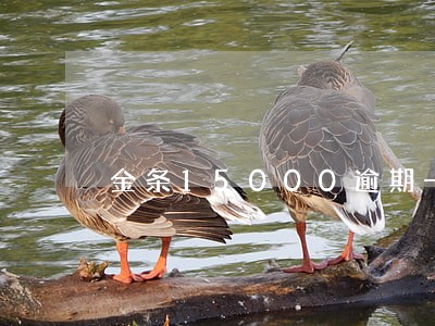 金条15000逾期一天多少罚息 金条15000逾期一天多少罚息