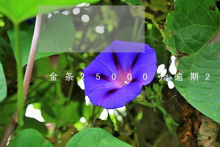 金条25000元逾期20天 金条25000元逾期20天