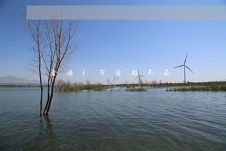 金条2万逾期不还 金条2万逾期不还