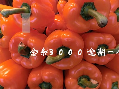 金条3000逾期一个月利息多少 金条3000逾期一个月利息多少