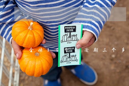 金条3000逾期三个多月了