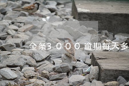 金条3000逾期每天多少费用 金条3000逾期每天多少费用