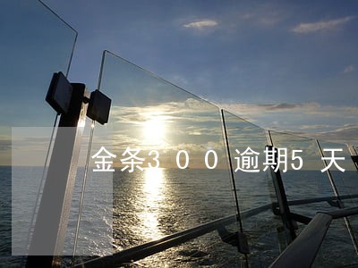 金条300逾期5天 金条300逾期5天