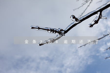 金条3万8逾期还不了 金条3万8逾期还不了