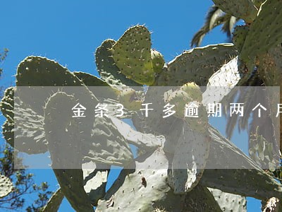 金条3千多逾期两个月会上门吗 金条3千多逾期两个月会上门吗