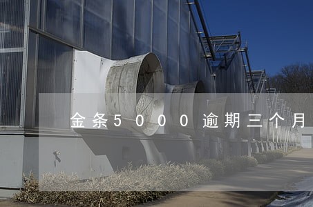 金条5000逾期三个月 金条5000逾期三个月