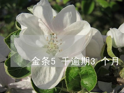 金条5千逾期3个月 金条5千逾期3个月